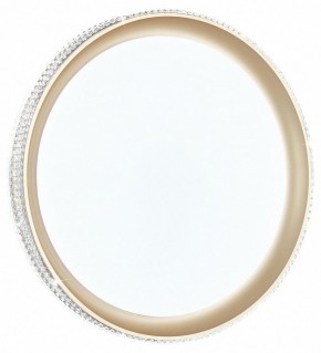 Накладной светильник Sonex Shiny 3054/EL в Кургане - kurgan.mebel24.online | фото 2
