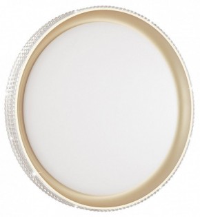 Накладной светильник Sonex Shiny 3054/EL в Кургане - kurgan.mebel24.online | фото 3