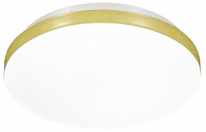 Накладной светильник Sonex Smalli 3066/CL в Кургане - kurgan.mebel24.online | фото 6