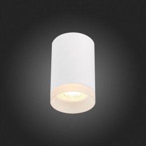 Накладной светильник ST-Luce ST100 ST100.502.01 в Кургане - kurgan.mebel24.online | фото 4