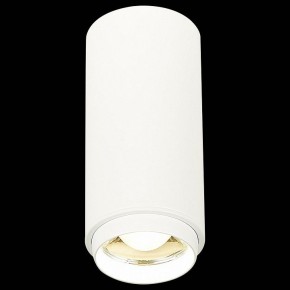 Накладной светильник ST-Luce Zoom ST600.542.10 в Кургане - kurgan.mebel24.online | фото 3