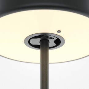Настольная лампа декоративная Maytoni AI Collaboration MOD229TL-L3B3K2 в Кургане - kurgan.mebel24.online | фото 5