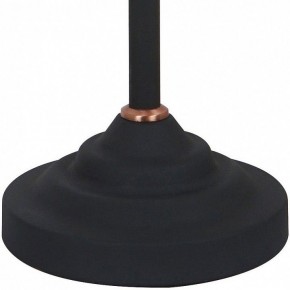 Настольная лампа офисная Arte Lamp Braccio A2054LT-1BK в Кургане - kurgan.mebel24.online | фото 4