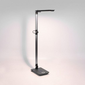 Настольная лампа офисная Elektrostandard Great a065290 в Кургане - kurgan.mebel24.online | фото 3