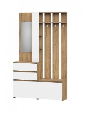 НЕКСТ 1 Вешалка с зеркалом + Шкаф 2-х ств. с ящиками в Кургане - kurgan.mebel24.online | фото 4