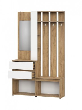 НЕКСТ 1 Вешалка с зеркалом + Шкаф 2-х ств. с ящиками в Кургане - kurgan.mebel24.online | фото 5