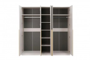НИКОЛЬ 25 Шкаф 5-ти створчатый в Кургане - kurgan.mebel24.online | фото 3