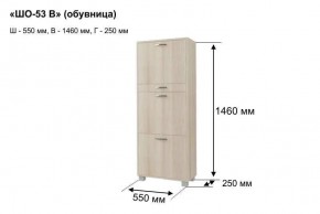 ШО-53 В тумба для обуви в Кургане - kurgan.mebel24.online | фото 8