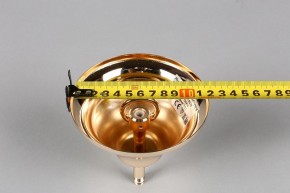 Подвесная люстра Aployt Daniele APL.701.03.12 в Кургане - kurgan.mebel24.online | фото 6