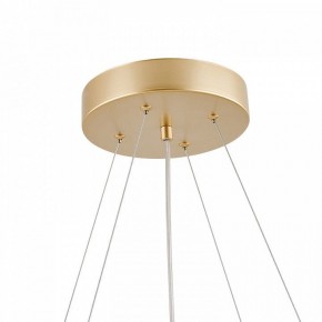 Подвесная люстра Favourite Asterismo 4448-8P в Кургане - kurgan.mebel24.online | фото 8