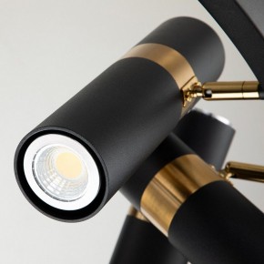 Подвесная люстра Favourite Light point 2997-9P в Кургане - kurgan.mebel24.online | фото 5