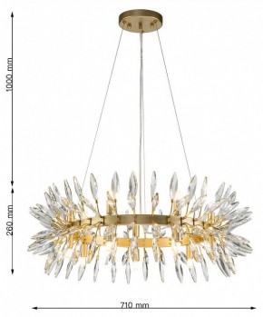 Подвесная люстра Favourite Rays 4058-14P в Кургане - kurgan.mebel24.online | фото 7