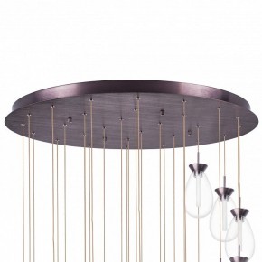 Подвесная люстра Lightstar Colore 805289 в Кургане - kurgan.mebel24.online | фото 6