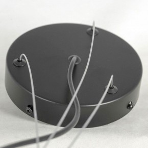 Подвесная люстра Lussole LSP-875 LSP-8750 в Кургане - kurgan.mebel24.online | фото 5