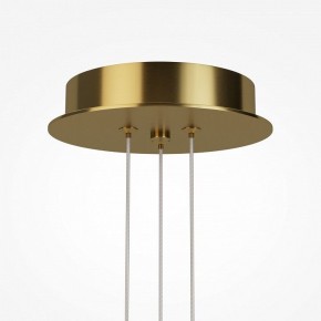 Подвесная люстра Maytoni Arana MOD401PL-L108BS3K в Кургане - kurgan.mebel24.online | фото 7