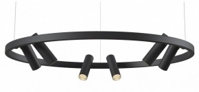 Подвесная люстра Maytoni Halo MOD102PL-L42BK в Кургане - kurgan.mebel24.online | фото