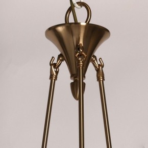 Подвесная люстра MW-Light Габриэль 12 491013421 в Кургане - kurgan.mebel24.online | фото 9
