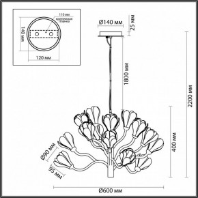 Подвесная люстра Odeon Light Gardi 5090/15 в Кургане - kurgan.mebel24.online | фото 6