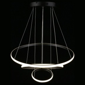 Подвесной светильник Aployt Janina APL.018.03.60 в Кургане - kurgan.mebel24.online | фото 12