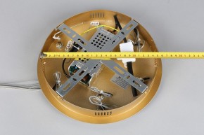 Подвесной светильник Aployt Janina APL.018.13.60 в Кургане - kurgan.mebel24.online | фото 11