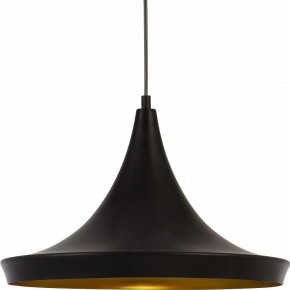 Подвесной светильник Arte Lamp Capello A3406SP-1BK в Кургане - kurgan.mebel24.online | фото 3