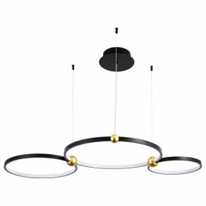 Подвесной светильник Divinare Amadeo 1123/04 SP-75 в Кургане - kurgan.mebel24.online | фото