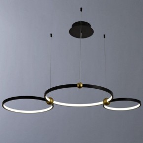 Подвесной светильник Divinare Amadeo 1123/04 SP-75 в Кургане - kurgan.mebel24.online | фото 2