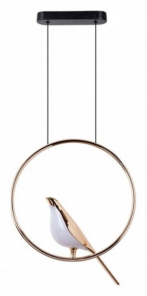 Подвесной светильник Divinare Summer 1188/01 SP-9 в Кургане - kurgan.mebel24.online | фото 2