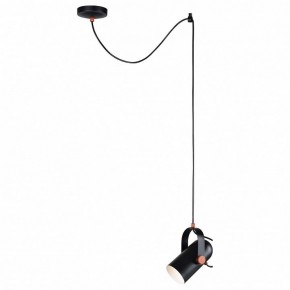 Подвесной светильник Favourite Ampolla 2007-1P в Кургане - kurgan.mebel24.online | фото 3
