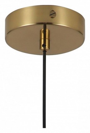 Подвесной светильник Favourite Copita 2777-1P в Кургане - kurgan.mebel24.online | фото 5