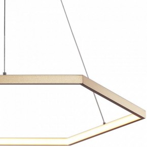 Подвесной светильник Favourite Hexagon 2103-6P в Кургане - kurgan.mebel24.online | фото 3