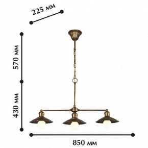 Подвесной светильник Favourite Magrib 1214-3P1 в Кургане - kurgan.mebel24.online | фото 2