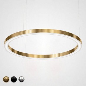 Подвесной светильник Imperiumloft Light Ring Horizontal 40.1454-120 в Кургане - kurgan.mebel24.online | фото 1