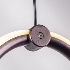 Подвесной светильник Lightstar Caramello 796169 в Кургане - kurgan.mebel24.online | фото 10