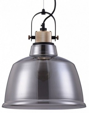 Подвесной светильник Maytoni Irving T163PL-01C в Кургане - kurgan.mebel24.online | фото 2
