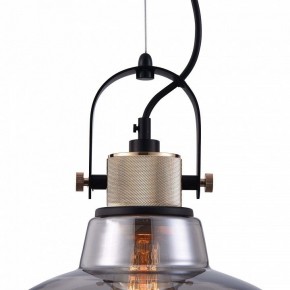 Подвесной светильник Maytoni Irving T163PL-01C в Кургане - kurgan.mebel24.online | фото 9