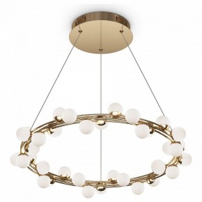Подвесной светильник Maytoni Tessara MOD081PL-L50G3K в Кургане - kurgan.mebel24.online | фото 2
