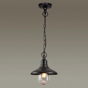Подвесной светильник Odeon Light Campa 4965/1 в Кургане - kurgan.mebel24.online | фото 2