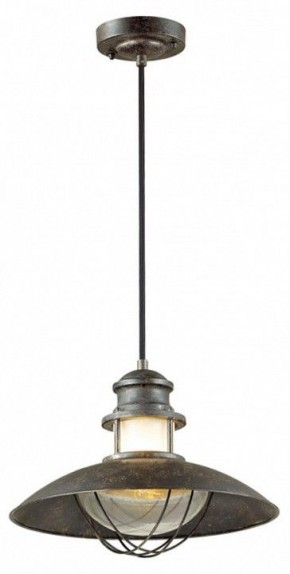 Подвесной светильник Odeon Light Dante 4164/1 в Кургане - kurgan.mebel24.online | фото 2