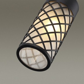 Подвесной светильник Odeon Light Dunes 4834/1 в Кургане - kurgan.mebel24.online | фото 6