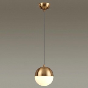 Подвесной светильник Odeon Light Pinga 4960/1 в Кургане - kurgan.mebel24.online | фото 2