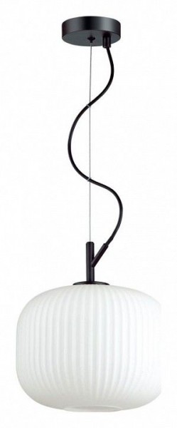 Подвесной светильник Odeon Light Roofi 4753/1 в Кургане - kurgan.mebel24.online | фото 2