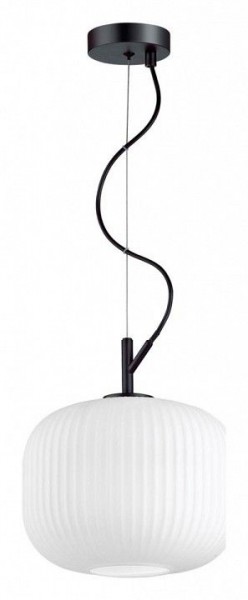 Подвесной светильник Odeon Light Roofi 4753/1 в Кургане - kurgan.mebel24.online | фото 3