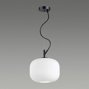 Подвесной светильник Odeon Light Roofi 4753/1 в Кургане - kurgan.mebel24.online | фото 4