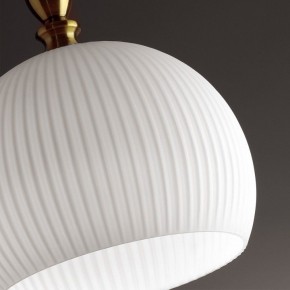 Подвесной светильник Odeon Light Runga 4767/1 в Кургане - kurgan.mebel24.online | фото 8