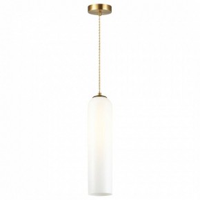 Подвесной светильник Odeon Light Vosti 4642/1 в Кургане - kurgan.mebel24.online | фото 2