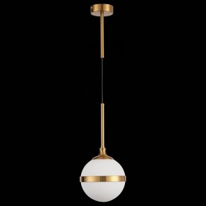 Подвесной светильник ST-Luce Arbe SL1157.303.01 в Кургане - kurgan.mebel24.online | фото 4