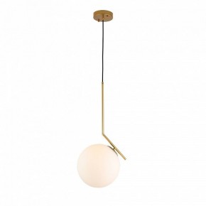 Подвесной светильник ST-Luce Codda SL1148.303.01 в Кургане - kurgan.mebel24.online | фото 2