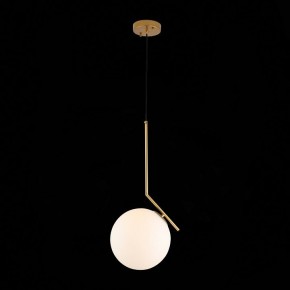 Подвесной светильник ST-Luce Codda SL1148.303.01 в Кургане - kurgan.mebel24.online | фото 5