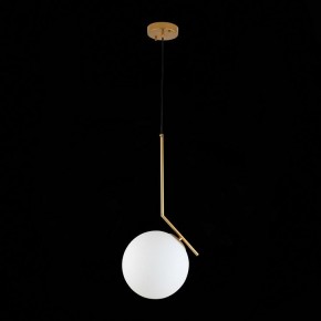 Подвесной светильник ST-Luce Codda SL1148.303.01 в Кургане - kurgan.mebel24.online | фото 6